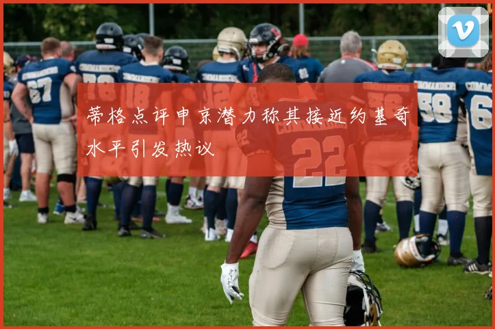 蒂格点评申京潜力称其接近约基奇水平引发热议