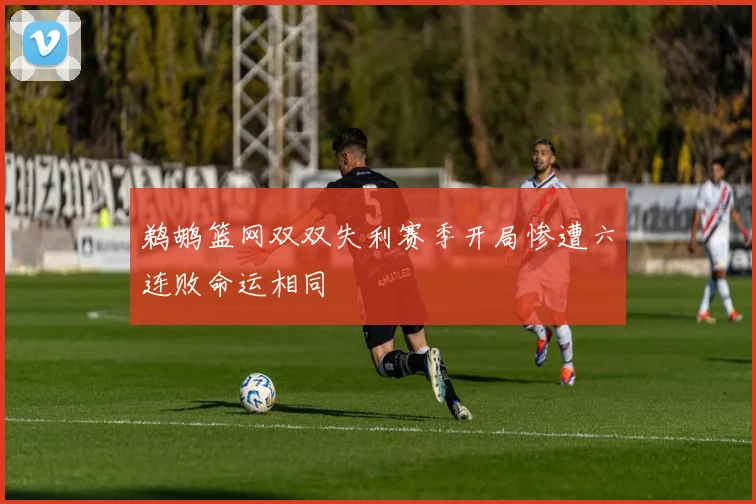 鹈鹕篮网双双失利赛季开局惨遭六连败命运相同